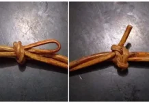 Kalosara dari Dulu hingga Kini: Merawat Perdamaian, Mengokohkan Persatuan (Bagian 2) Kalosara dari Dulu hingga Kini: Merawat Perdamaian, Mengokohkan Persatuan (Bagian 2)