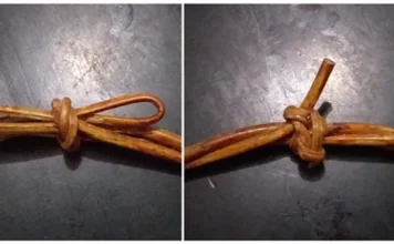 Kalosara dari Dulu hingga Kini: Merawat Perdamaian, Mengokohkan Persatuan (Bagian 2) Kalosara dari Dulu hingga Kini: Merawat Perdamaian, Mengokohkan Persatuan (Bagian 2)