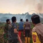 Kebakaran Lahan di Kolut, Diduga Dilakukan OTK Kebakaran Lahan di Kolut, Diduga Dilakukan OTK