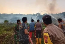 Kebakaran Lahan di Kolut, Diduga Dilakukan OTK Kebakaran Lahan di Kolut, Diduga Dilakukan OTK