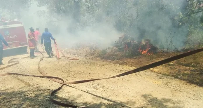 Sudah Empat Hari Lahan Gambut di Kedari Masih Terbakar