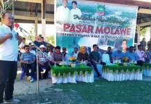 Pemda Konut Bangun Pasar Modern Pemda Konut Bangun Pasar Modern