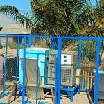 Nelayan di Konut Dapat Bantuan Mesin Pembuat Es Nelayan di Konut Dapat Bantuan Mesin Pembuat Es