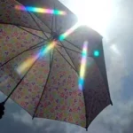 Berikut Daerah di Sultra yang Berpotensi Terdampak El Nino Cara Jaga Kesehatan Tubuh Saat Suhu Udara Panas