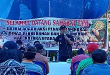 Program Revitalisasi Kakao, Bupati Kolut Kunjungi Petani