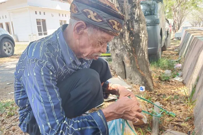 Kakek Usia 105 Tahun di Muna, Berjuang Hidup Jualan Kelapa Muda