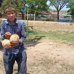 Kakek Usia 105 Tahun di Muna, Berjuang Hidup Jualan Kelapa Muda Kakek Usia 105 Tahun di Muna, Berjuang Hidup Jualan Kelapa Muda