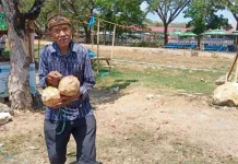 Kakek Usia 105 Tahun di Muna, Berjuang Hidup Jualan Kelapa Muda Kakek Usia 105 Tahun di Muna, Berjuang Hidup Jualan Kelapa Muda