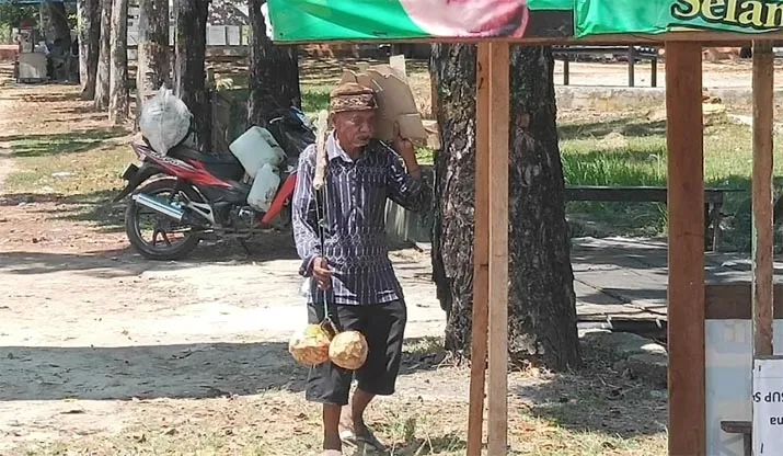 Kakek Usia 105 Tahun di Muna, Berjuang Hidup Jualan Kelapa Muda