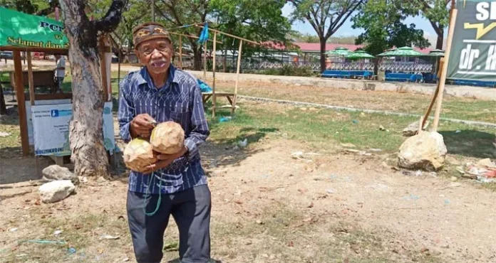 Kakek Usia 105 Tahun di Muna, Berjuang Hidup Jualan Kelapa Muda