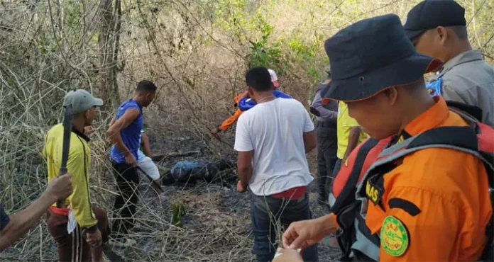 SAR Temukan Jasad Wanita di Hutan Barangka Buton