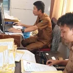 Jelang Penutupan, BKD Kolut Mencatat 2019 Orang Calon Pendaftar CPNS Jelang Penutupan, BKD Kolut Mencatat 2019 Orang Calon Pendaftar CPNS