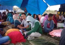 Desa Tri Wacu-wacu Butur Potensial Jadi Tambak Udang Desa Tri Wacu-wacu Butur Potensial Jadi Tambak Udang