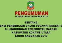 Syarat Pengumuman Dan Formasi CPNS Konut 2019 Syarat Pengumuman Dan Formasi CPNS Konut 2019