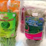 Keripik Kacang Hijau dan Stick Kelor Hadir di Pameran HPS Keripik Kacang Hijau dan Stick Kelor Hadir di Pameran HPS
