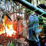 Hutan Di Konut Terbakar, Masyarakat Terancam Kehilangan Air bersih Hutan Di Konut Terbakar, Masyarakat Terancam Kehilangan Air bersih