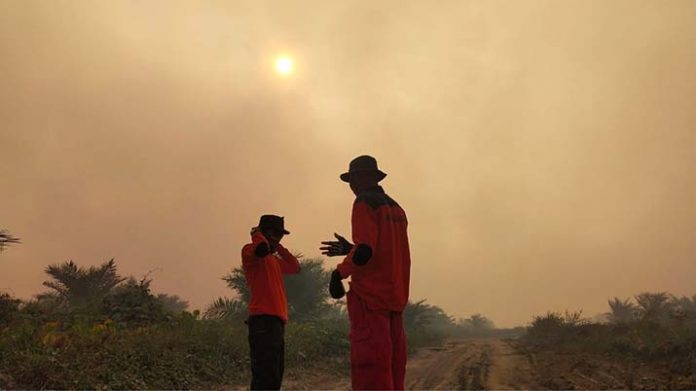 Koltim Kembali Diselimuti Asap, Titik Api Susah Ditembus