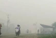 Kabut Asap Mengepung Ibukota Koltim Kabut Asap Mengepung Ibukota Koltim