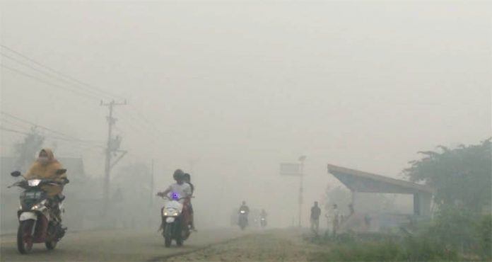 Kabut Asap Mengepung Ibukota Koltim