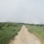 Asap di Ibukota Koltim Akibat Kebakaran Lahan PT SARI dan Kebun Warga Asap di Ibukota Koltim Akibat Kebakaran Lahan PT SARI dan Kebun Warga