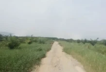 Asap di Ibukota Koltim Akibat Kebakaran Lahan PT SARI dan Kebun Warga Asap di Ibukota Koltim Akibat Kebakaran Lahan PT SARI dan Kebun Warga