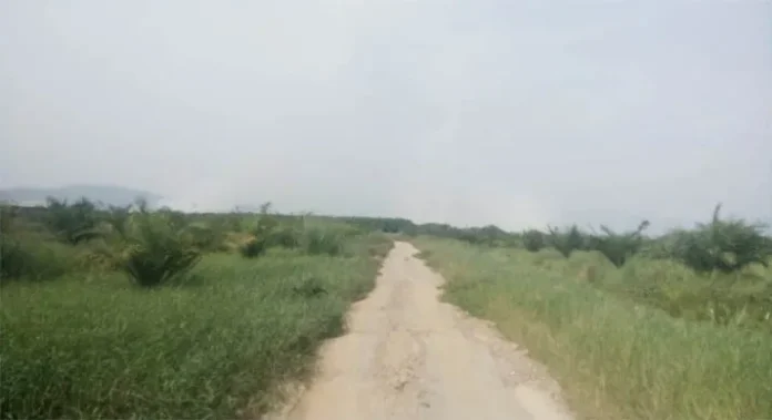 Asap di Ibukota Koltim Akibat Kebakaran Lahan PT SARI dan Kebun Warga