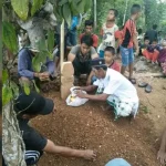 Warga Kolut Digegerkan dengan Penemuan Pemuda Gantung Diri di Pohon Kakao Warga Kolut Digegerkan dengan Penemuan Pemuda Gantung Diri di Pohon Kakao