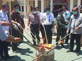 Kejari Muna Musnahkan Sabu Senilai Rp260 Juta Kejari Muna Musnahkan Sabu Senilai Rp260 Juta