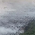 Tiga Pemilik Kebun Diinterogasi Terkait Kebakaran Lahan di Koltim Tiga Pemilik Kebun Diinterogasi Terkait Kebakaran Lahan di Koltim