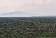 Titik Api Kebakaran Lahan PT SARI di Koltim Sudah Berkurang Titik Api Kebakaran Lahan PT SARI di Koltim Sudah Berkurang