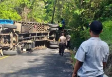 Tak Kuat Menanjak, Truk di Kolaka Utara Terguling Tak Kuat Menanjak, Truk di Kolaka Utara Terguling