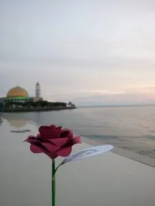 Peringati Hari Ibu, PMII Kolut Bagikan Bunga di Jalan Bypass