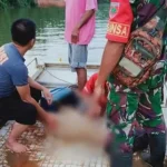 Kaki Kanan Hilang, Warga Konut yang Diterkam Buaya Ditemukan Tewas Kaki Kanan Hilang, Warga Konut yang Diterkam Buaya Ditemukan Tewas