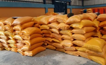 20 Ton Beras Bulog untuk Bantuan Pangan Non Tunai Ditemukan Rusak
