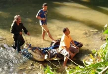 Warga Tangkap Buaya Sepanjang 5 Meter di Muna