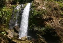 Wisata Air Terjun Tikuarau di Kolaka, Tingginya Mencapai 60 Meter