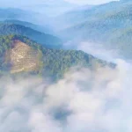 Kabut Asap di Koltim Meluas Hingga Kolaka dan Konawe Kabut Asap di Koltim Meluas Hingga Kolaka dan Konawe