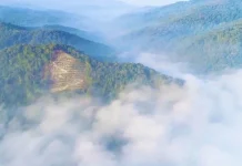 Kabut Asap di Koltim Meluas Hingga Kolaka dan Konawe Kabut Asap di Koltim Meluas Hingga Kolaka dan Konawe