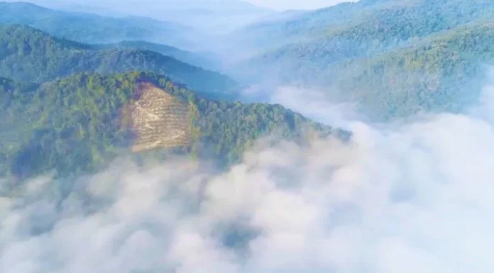 Kabut Asap di Koltim Meluas Hingga Kolaka dan Konawe