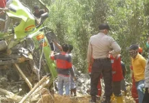 Truk Masuk Jurang, Sopir Pengangkut Batu Waduk Ladongi Koltim Tewas Truk Masuk Jurang, Sopir Pengangkut Batu Waduk Ladongi Koltim Tewas