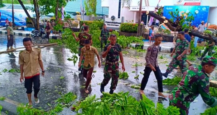 Hujan Deras, Pohon Tumbang di Depan Makodim Kendari