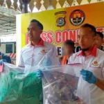 Mahasiswi USN Kolaka yang Ditemukan Meninggal, Dibunuh Rekan Kerjanya