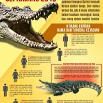 INFOGRAFIS : Korban Gigitan Buaya Sepanjang 2019 INFOGRAFIS : Korban Gigitan Buaya Sepanjang 2019