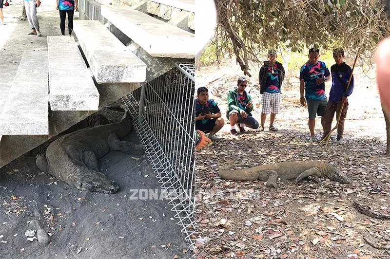 20 Jurnalis Explore Labuan Bajo bersama BPJAMSOSTEK