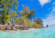 Jelajah Saponda Laut, Pulau Tak Berpenduduk di Konawe Jelajah Saponda Laut, Pulau Tak Berpenduduk di Konawe
