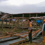 Belasan Rumah di Kolut Rusak Dihantam Angin Kencang