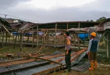 Belasan Rumah di Kolut Rusak Dihantam Angin Kencang