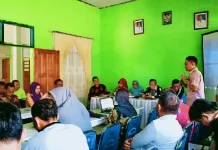 Ulat Tentara Serang Ribuan Hektar Tanaman Jagung di Bombana Ulat Tentara Serang Ribuan Hektar Tanaman Jagung di Bombana