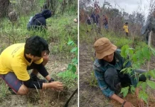 HUT ke-61, Sylva Indonesia Tanam Ratusan Pohon di Tahura Nipa-nipa HUT ke-61, Sylva Indonesia Tanam Ratusan Pohon di Tahura Nipa-nipa