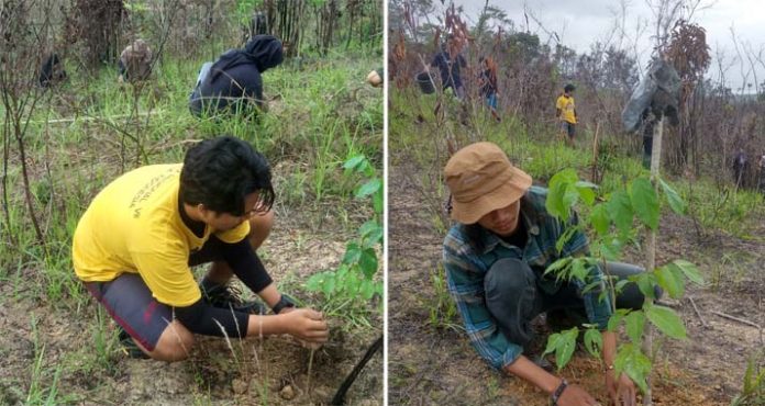 HUT ke-61, Sylva Indonesia Tanam Ratusan Pohon di Tahura Nipa-nipa